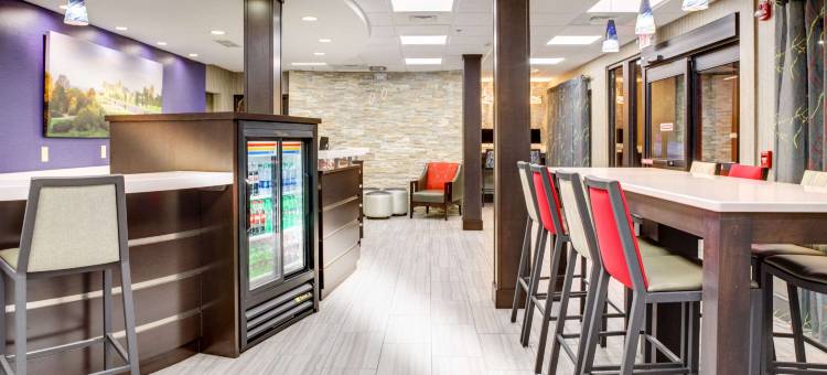 凯隆酒店-比尔特莫尔村(Clarion Inn Biltmore Village)图片