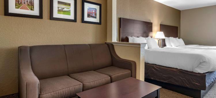 舒适套房酒店-近迪兰大学(Comfort Inn & Suites DeLand - Near University)图片