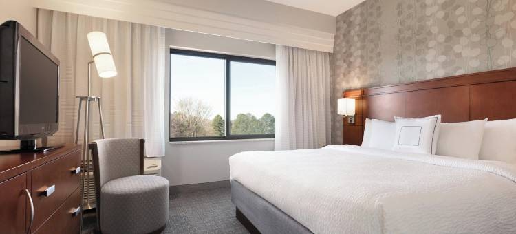 夏洛特机场北部万怡酒店(Courtyard Charlotte Airport North)图片