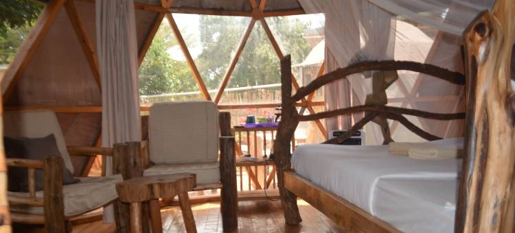 金加背包客(Jinja Backpackers)图片