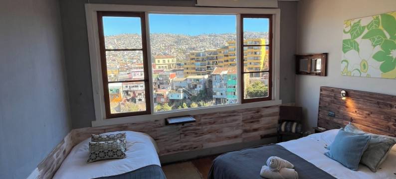 BbCasita Yellow Valparaiso图片