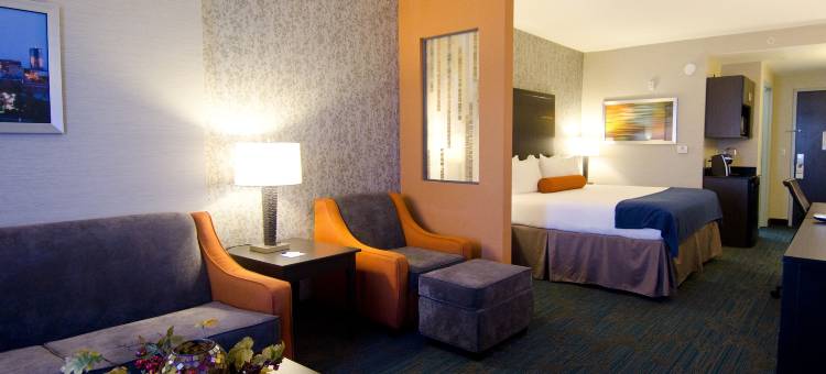 智选假日套房酒店诺克斯维尔(Holiday Inn Express & Suites Knoxville West - Papermill DR)图片