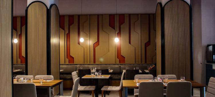 纽约时代广场南希尔顿逸林酒店(Double Tree by Hilton New York Times Square South)图片
