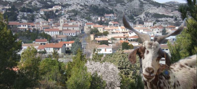 LA BELLE VIE in PROVENCE between  Marseille and Carry-le-Rouet, 5Km from the sea图片