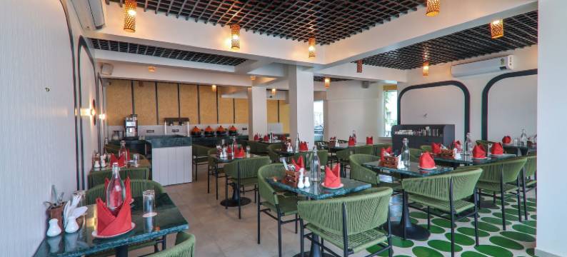 兰花帕萨罗斯贝瑙林果阿 - 限成人(The Orchid Passaros Goa)图片