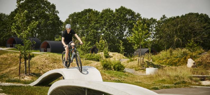 阿里那中城酒店(Arena Midt)图片