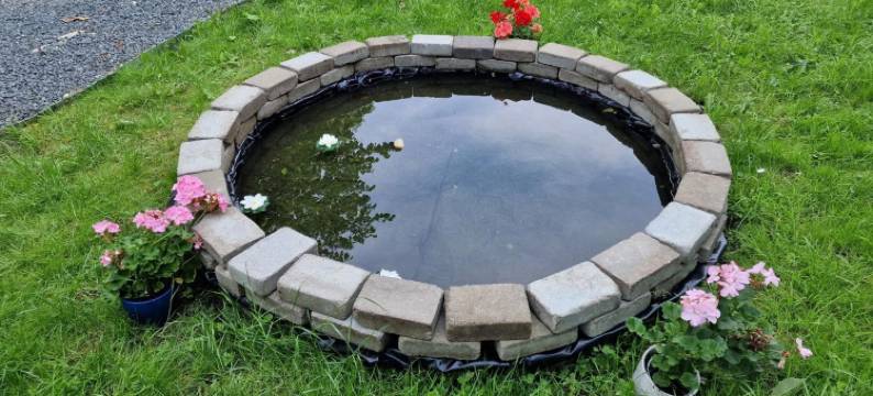 绝佳位置，超值价格！(Perfect for Nature Lovers)图片