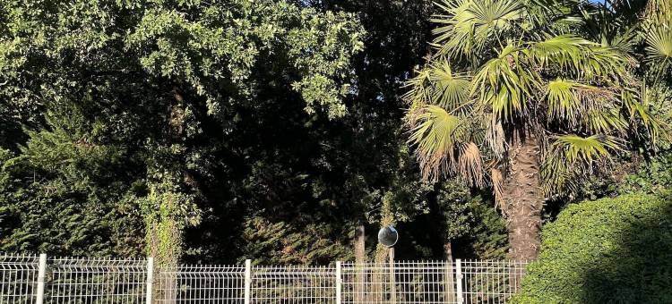 L Eguille别墅(Villa de L Eguille)图片