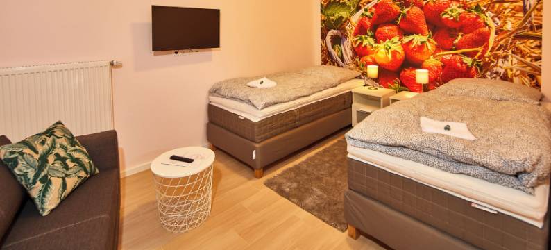 施瓦利霍夫客房公寓(Schwalehof Gästewohnungen)图片