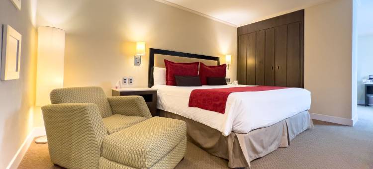 埃克阿拉米达雷福马酒店(Exe Alameda Reforma)图片