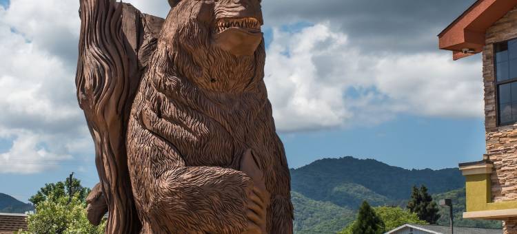 尤凯亚北6号汽车旅馆(Motel 6 Ukiah, CA - North)图片