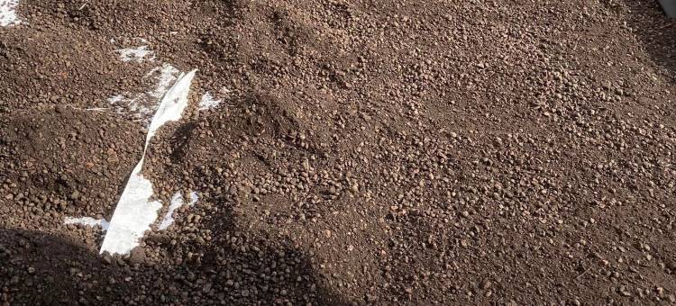 水手旅馆(Mariners Guest House)图片