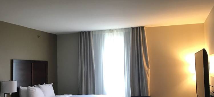 舒适套房酒店(Comfort Suites)图片