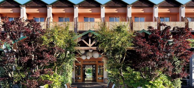 伊塞奥拉哥酒店(Iseo Lago Hotel)图片