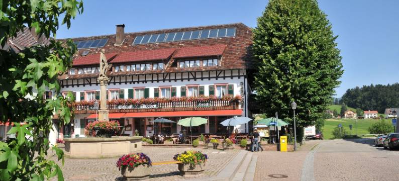 赫斯臣酒店(Hotel Hirschen)图片