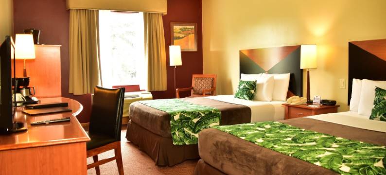 安眠酒店-圣何塞帕塞欧拉斯达马斯(Sleep Inn Hotel Paseo Las Damas)图片