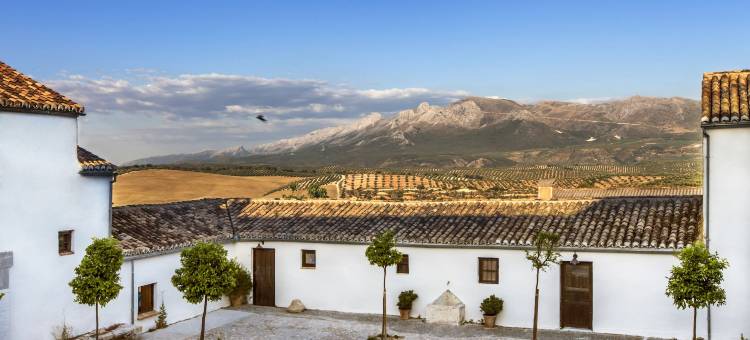 马奎斯农庄酒店(Hotel Cortijo del Marqués)图片