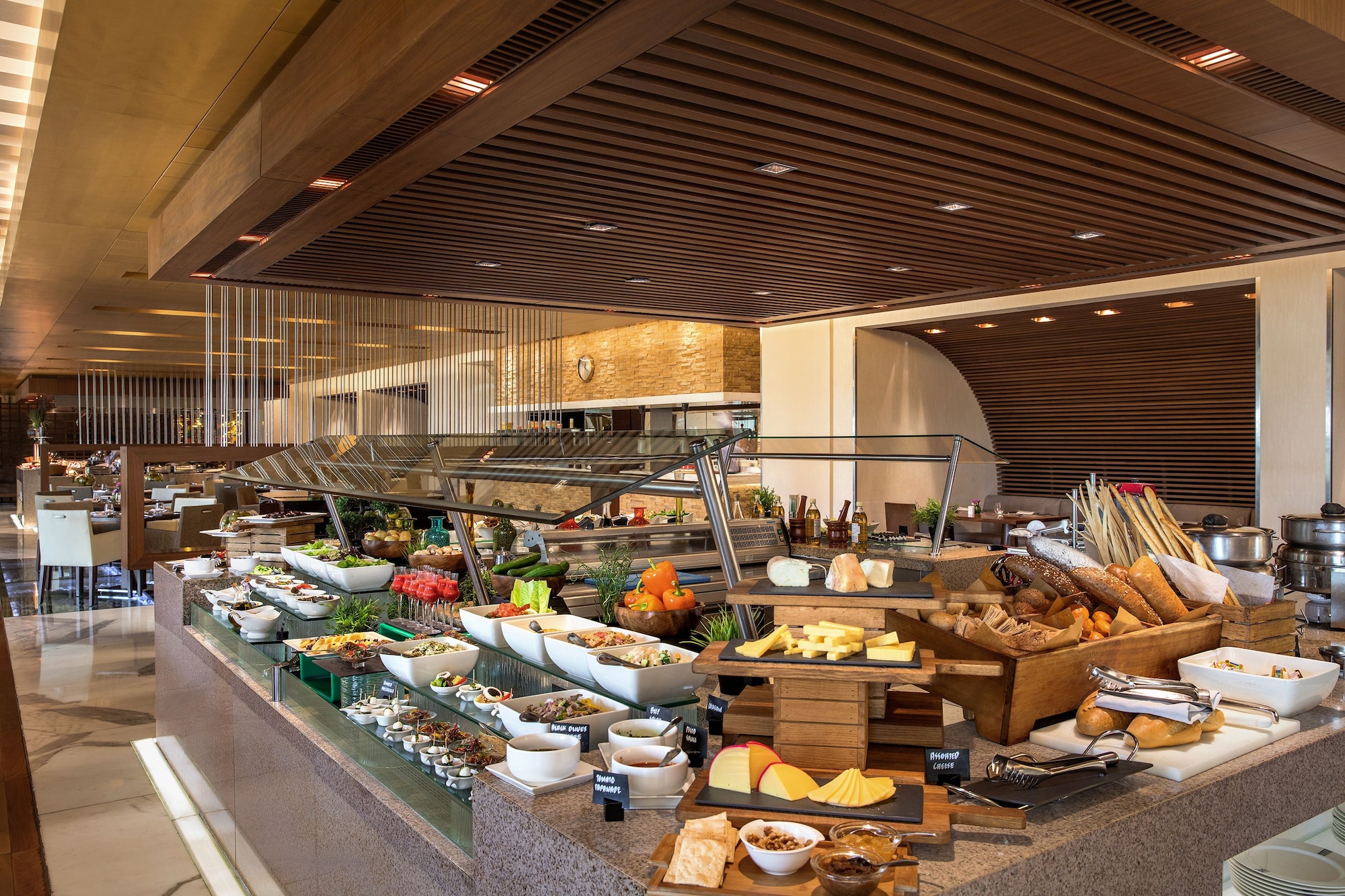 Al Ain Rotana Over view