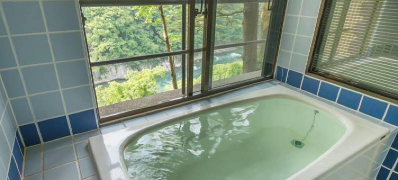 鬼怒川公园酒店(Kinugawa Park Hotels)图片