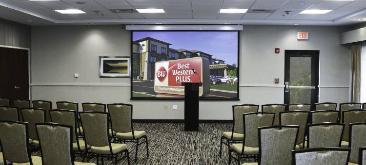 哈蒙兹波特贝斯特韦斯特优质酒店(Best Western Plus the Hammondsport Hotel)图片