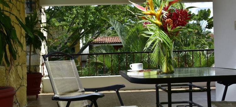 帕伦克广场酒店(Hotel Plaza Palenque)图片