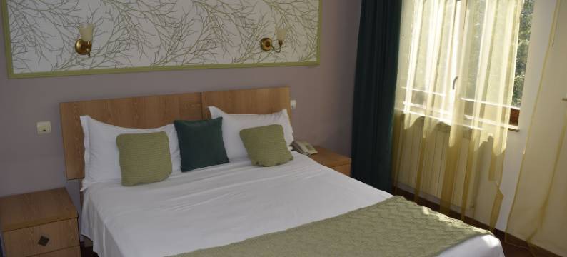 米开朗基罗酒店(Hotel Michelangelo)图片