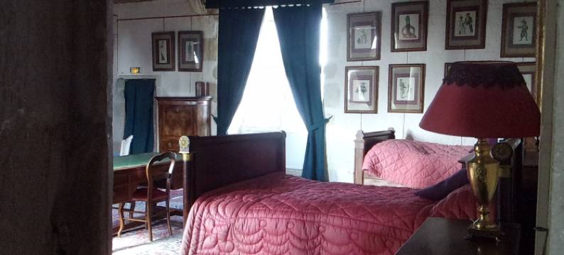 切梅里城堡民宿(Chambres d'hôtes - Chateau de Chemery)图片