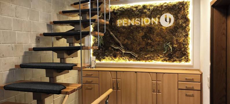 佩希恩 19 酒店(Pension 19)图片
