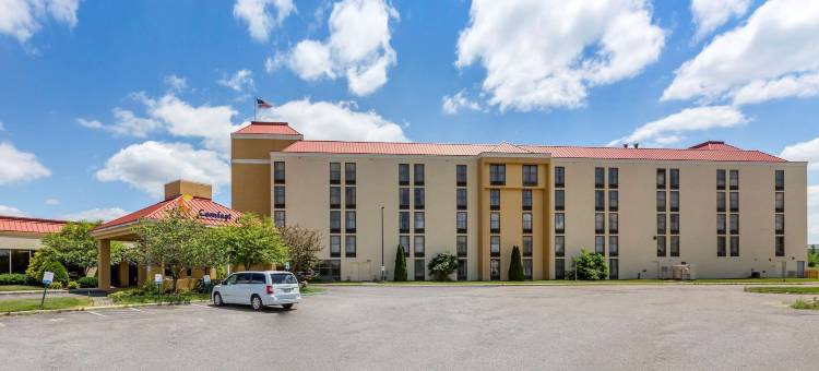 舒适酒店(Comfort Inn)图片