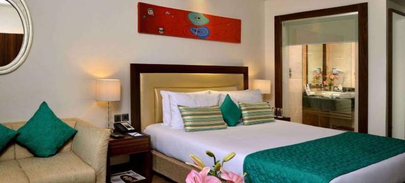 勒克瑙郁锦香酒店(Golden Tulip Lucknow)图片