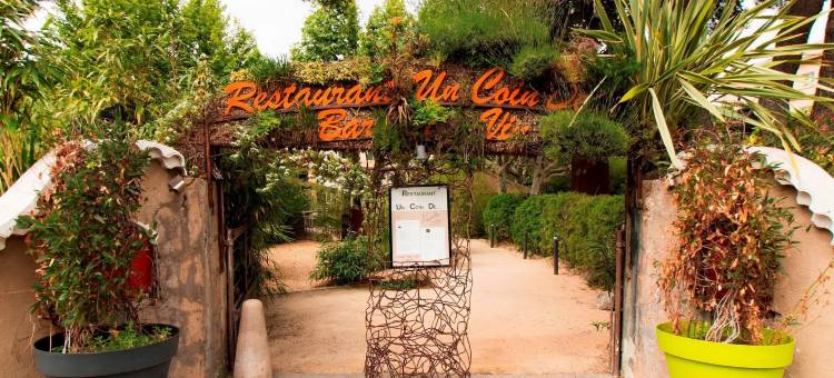 阿多尼斯萨那丽洗浴大酒店(Adonis Sanary Grand Hôtel des Bains)图片