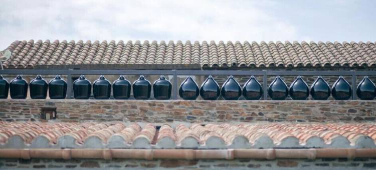 萨佩拉菲塔酒店(Sa Perafita - MF)图片