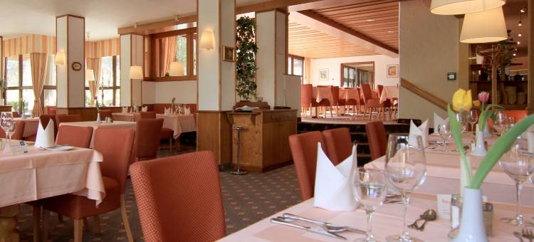巴伐利亚琥珀酒店(AMBER HOTEL BAVARIA Bad Reichenhall)图片