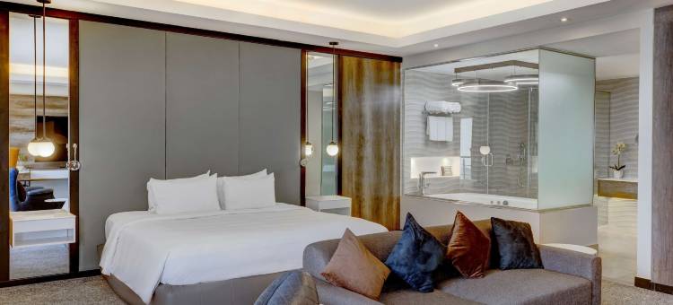 拉各斯伊凯贾丽笙酒店(Radisson Blu Hotel, Lagos Ikeja)图片