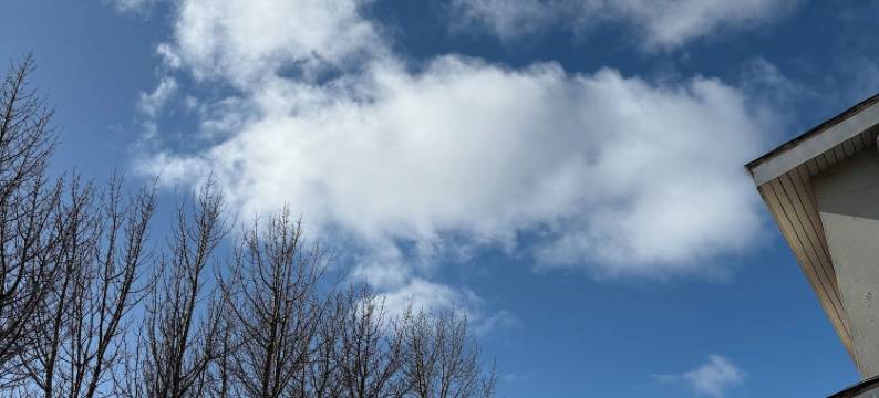 斯科加尔青年旅馆(Skogar Hostel)图片