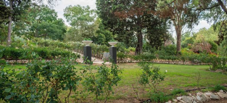 林道山庄(The Lyndoch Motel Formerly Lyndoch Hill)图片