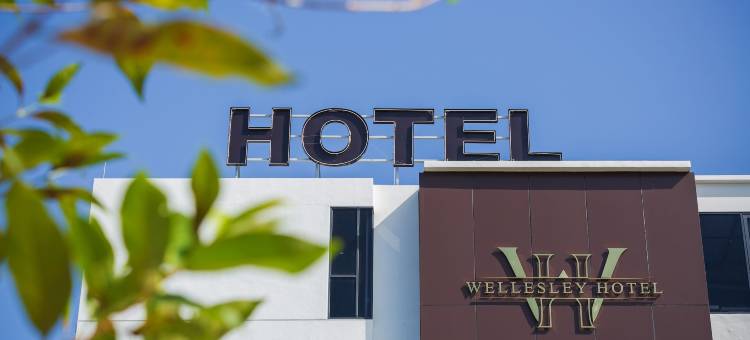 韦尔斯利酒店(Wellesley Hotel)图片