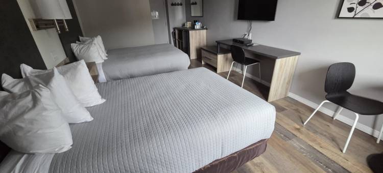 625号酒店(Hôtel le 625)图片