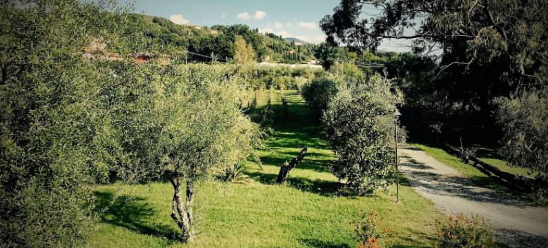 拉吉亚依亚度假酒店(Resort la Ghiaia)图片
