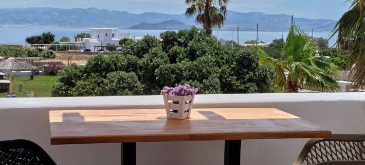 法洛吉尼斯宫殿酒店 - 公寓(Fyrogenis Palace)图片