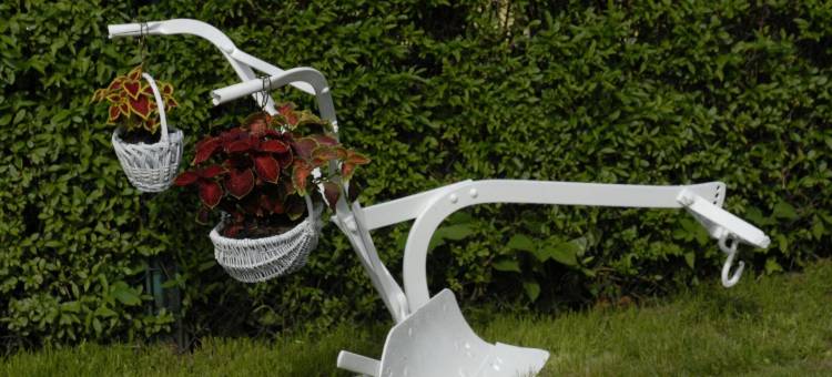 卡尔尼采近波罗的海海滩的房屋(House in Karnice Near Baltic Sea Beach)图片