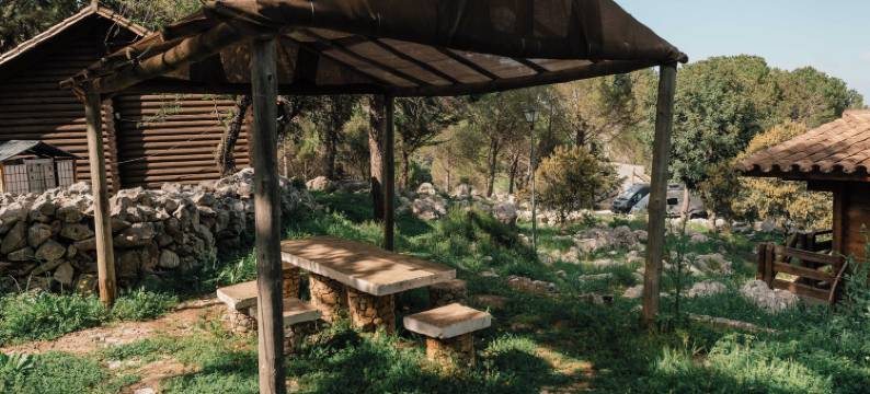 塔霍罗迪略露营地(Camping TajoRodillo)图片