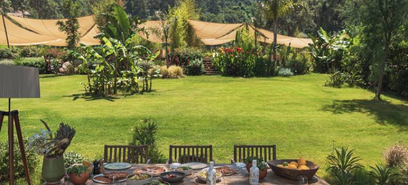 Yazz 集体(Yazz Collective)图片