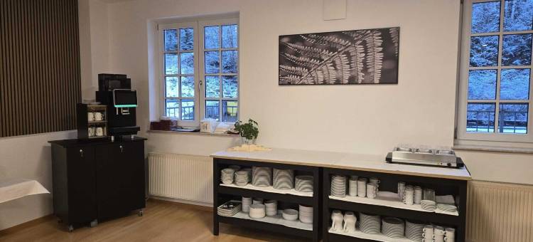 拜德布兰巴赫公园酒店(Parkhotel Bad Brambach)图片