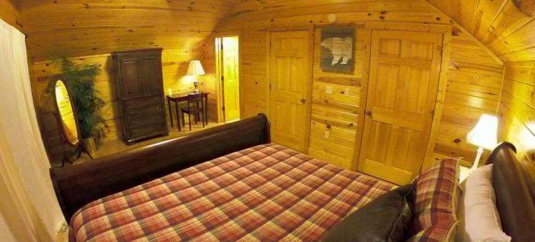 带热水浴缸、桑拿和台球桌的美丽小屋(Kuntree Cabin by Beyond Expectations W Hot Tub)图片