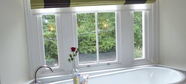 温室酒店(The Green House)图片