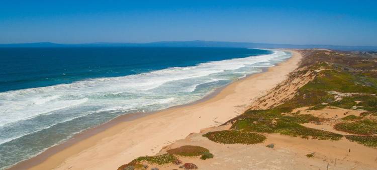 加利福尼亚圣塔克鲁兹 6 号汽车旅馆(Motel 6 Santa Cruz, CA)图片