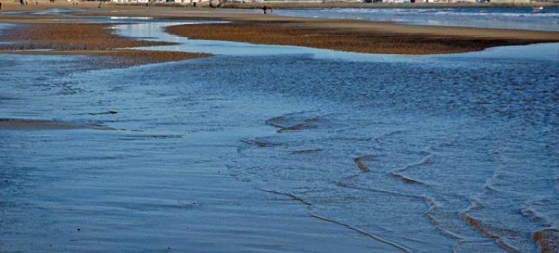 一卧室小屋 - 睡两人 - 可带宠物 - 距海滩两分钟(1 Bed Cabin - Sleeps 2 - Pets - 2 Min to Beach)图片