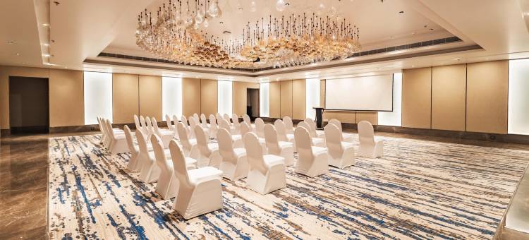 贾姆谢德布尔丽笙酒店(Radisson Hotel Jamshedpur)图片