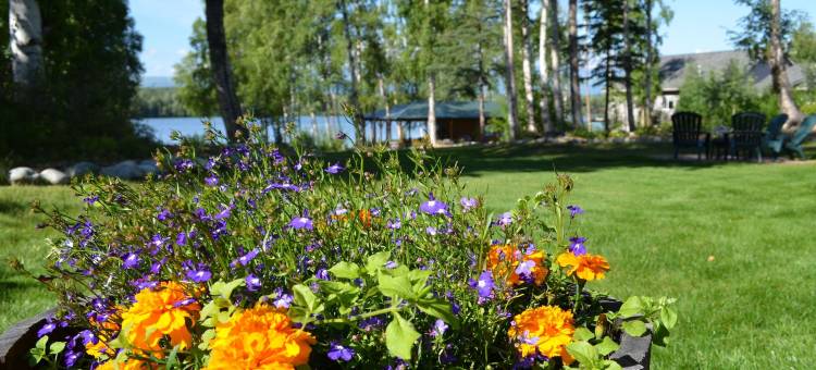 阿拉斯加湖露西尔食宿酒店(Alaska's Lake Lucille Bed & Breakfast)图片